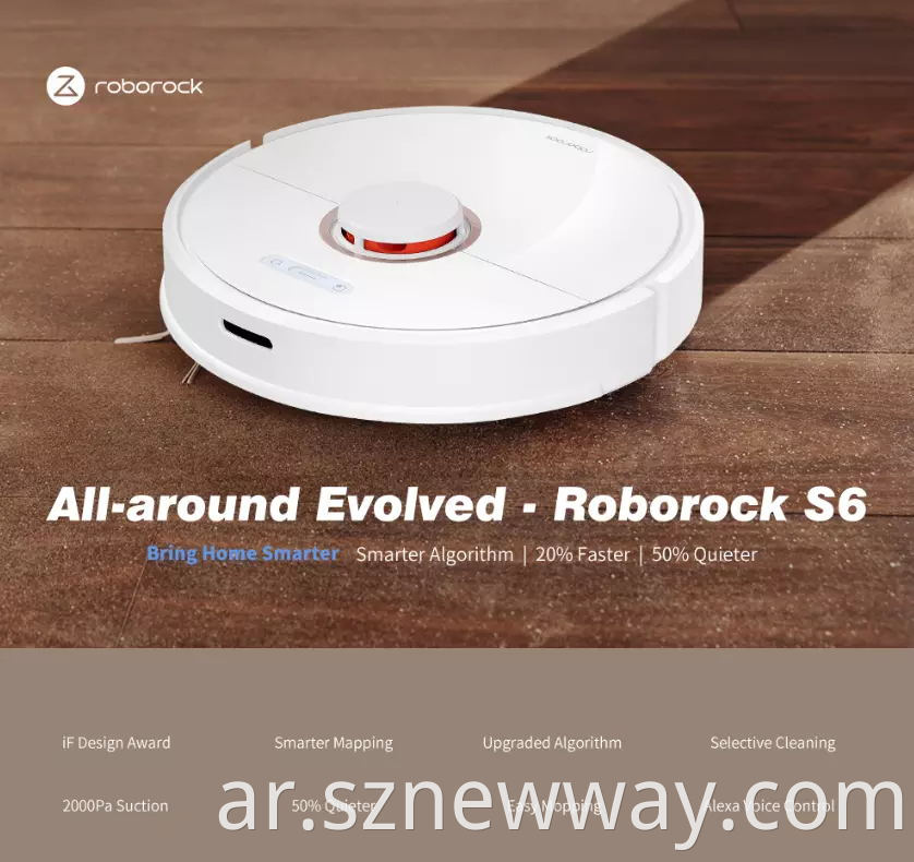 Roborock S6